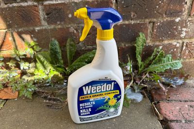 9 best weed killers for a neater, greener lawn