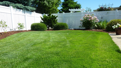 Judge tells 79yo Ohio woman she can face jail time for not maintaining her lawn. Then her neighborhood makes it their problem