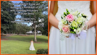 Georgia bride planned for bugs at her outdoor wedding. When she looked down, there were ants on every layer of her dress: ‘I felt the bites’