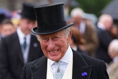 Meeting the King ‘great honour’, says charity star at royal garden party