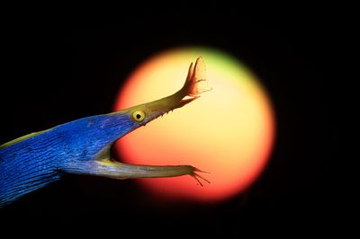 "The most compelling photography does not simply record, it constructs" – award-winning images revealed from world-renowned professional photo competition