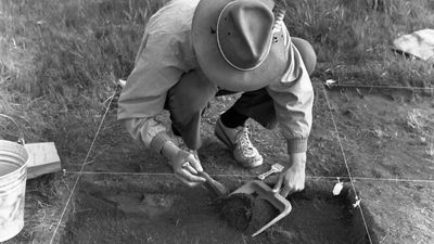 Archeologists just found potatoes in ‘excellent’ condition that are older than the United States: ‘No way one can tell their old age’