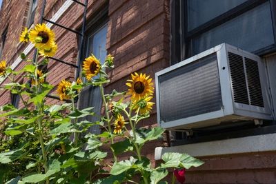 Ohio Cooling Help Starts July 1: 5 Senior Options