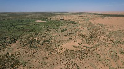 66 billion trees have been planted in China's Great Green Wall — and they appear to be growing faster than natural forests