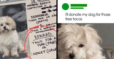 61 “Blursed” Memes To Make You Laugh, Then Wonder What’s Wrong With You