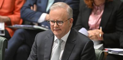 Labor gains in three further polls; Trump’s ratings recover slightly
