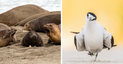 70 Breathtaking Photos Shortlisted For Australian Geographic Nature Photographer Of The Year