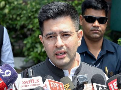Raghav Chadha wins partial relief in AI-content case; Delhi HC orders takedown of some posts