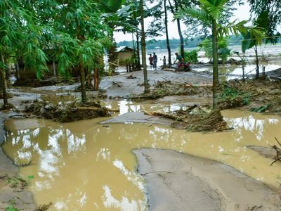 Assam flood update: Over 46,000 affected, 3,809 hectares of crop land flooded