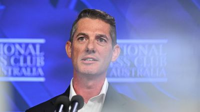 AI companies urged to pay up or stay out of Australia