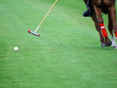 Delhi HC to hear on July 9 Indian Polo Association's plea over eviction from Jaipur Polo Ground