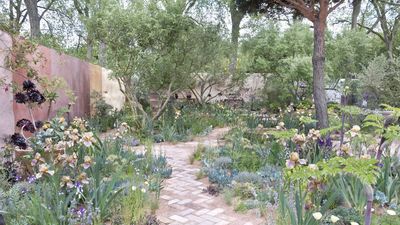 These 7 Sun-Loving Plants Will Transform Any Small Yard into a Mediterranean Retreat