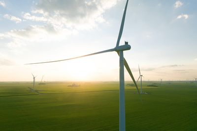 Trump team hands out $129 million in taxpayer money to end another wind farm project