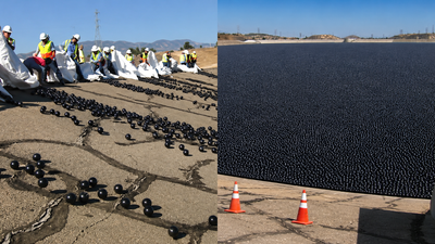 Why Los Angeles dropped 96 million black balls into drinking water