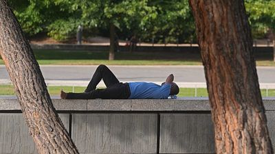 Extreme heat: Lisbon and three other districts on red alert