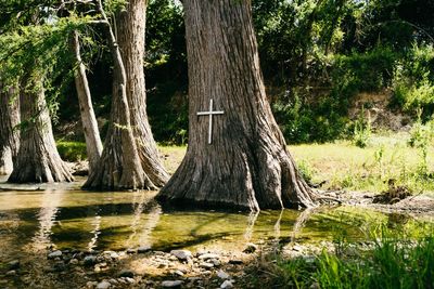 One year after the July 4 flood, Kerr County shows signs of trauma and healing