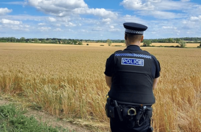 Two dead after plane crashes into Essex field