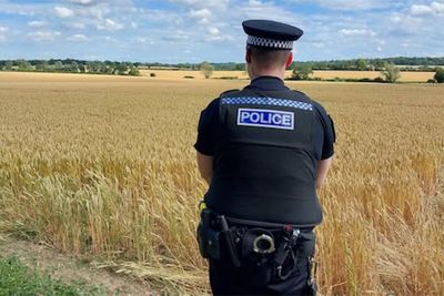 Two people killed after plane crashes into field