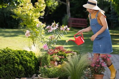 Why Summer Gardening Feels Harder Than It Did 10 Years Ago