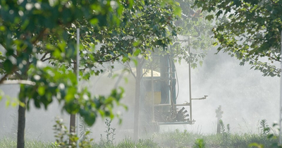 Trump Approves Toxic Cancer-Linked Forever Chemical Pesticides On Major Food Crops Never Before Used In America