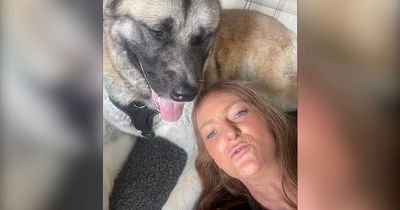 Dog Owner Investigated For Allegedly Tying Dog To A Lamppost During UK's Hottest Day Before Flying To Egypt