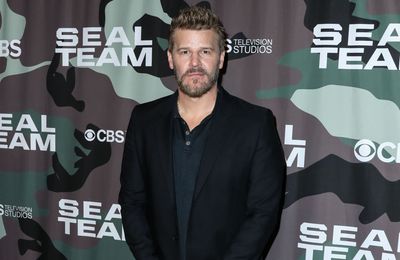 David Boreanaz was completely unprepared for how popular Buffy would become