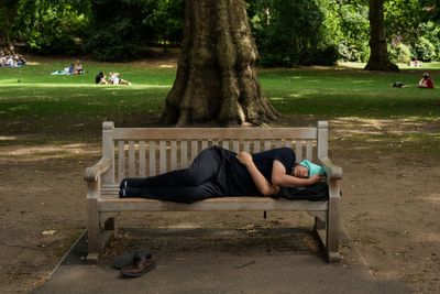 UK cities urged to plant more trees to tackle dangerous heatwaves
