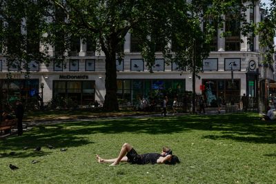Call for more trees in UK cities to tackle escalating threat of heatwaves