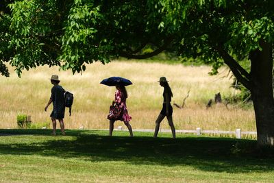 Warmest June on record for England and second warmest for UK