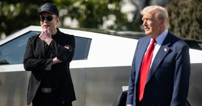 Elon Musk Seeks One Name Tied to Aid Cuts; NYT Journalist Responds With Detailed List