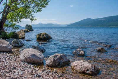 Loch Ness hydropower project will damage shoreline and ancient woodland