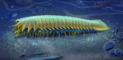 Spider fangs are one of their scariest features – new fossils reveal their origins