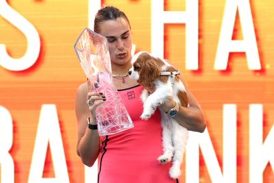 Aryna Sabalenka begs Wimbledon to reverse its ban on pet dogs: ‘Just fluffy little things’