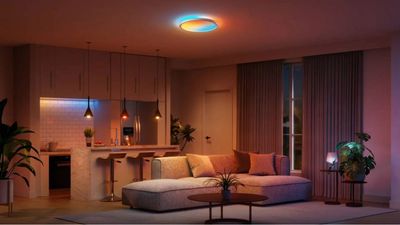 Nanoleaf’s new ceiling light isn’t a show-stopper like the Philips Skylight, but it wins on the smart home features front — and it’s more affordable