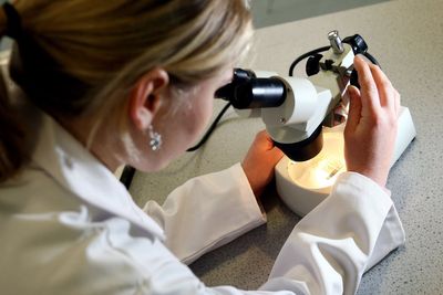 Scientists claim they have developed world’s first man-made cell that can eat and grow