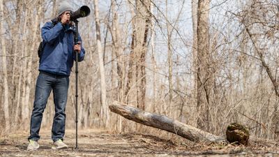 Benro launches new monopods, a three-legged base, and loads of bits and bobs