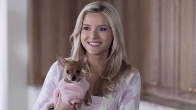 The Legally Blonde Prequel Has A Hilarious Reveal About Elle Woods I Can't Stop Thinking About