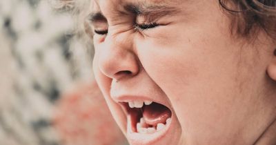 Bengaluru Daycare Abuse Case: Videos Show Toddlers Put in Washing Machine, Locked in Bathrooms