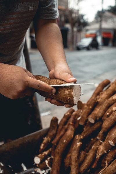 Fiber Is the New Superfood: Cassava, Chicory and Konjac Take Center Stage for Gut Health