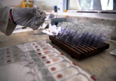 The CDC's Malaria Testing Branch Was Cut Even More Deeply Than the Rabies Lab