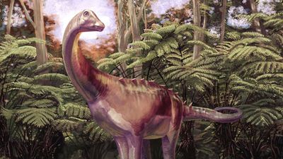 Antarctica's first dinosaur fossil belonged to a group of the largest land animals ever