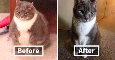 90 Mildly Interesting Before-And-After Photos That Show Just How Much Things Can Change