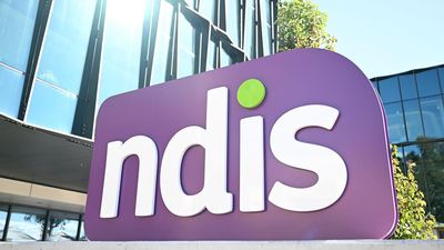 Labor-led committee calls for tougher NDIS fraud rules