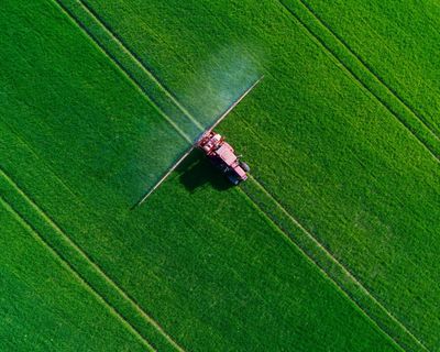 EU-approved pesticide found to have potential effects on brain development