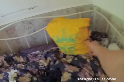 Wanted man tries to evade police by hiding in shopping bag