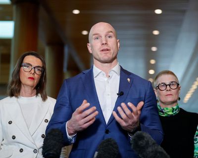 Afternoon Update: human oversight of aged care tool could return; Neil the seal safety concerns; and a valuable painting left on the street