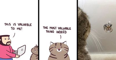 70 Hilarious Comics That Bring Viral Animal Photos And Videos To Life