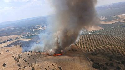 Spain enters peak fire season with active blazes and 50,000 hectares burned