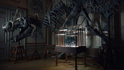 Jurassic fashion? T-Rex leather could reshape luxury industry says VML's Dimitri Guerassimov
