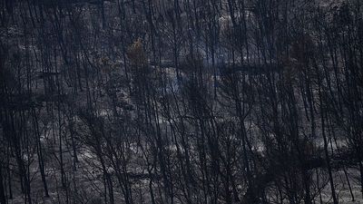 Fast-moving wildfire spreads across southern France